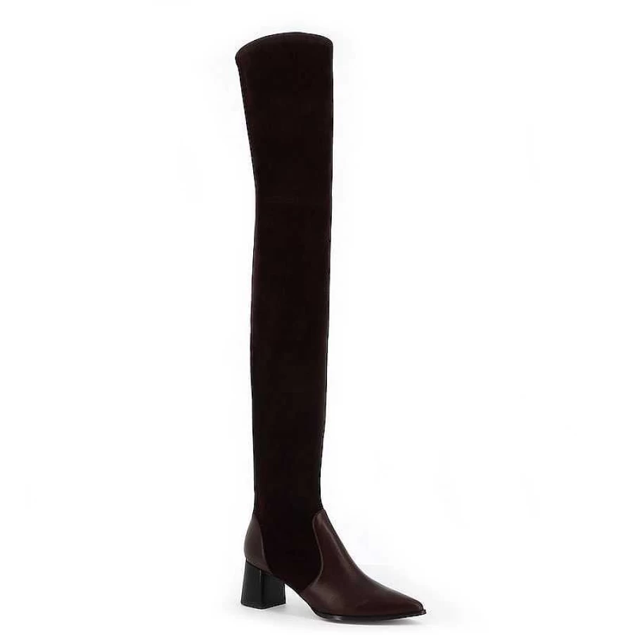 Chamberlan Women's Artemis Brown Over-The-Knee Boots | Stylish High Knee Boots for Women